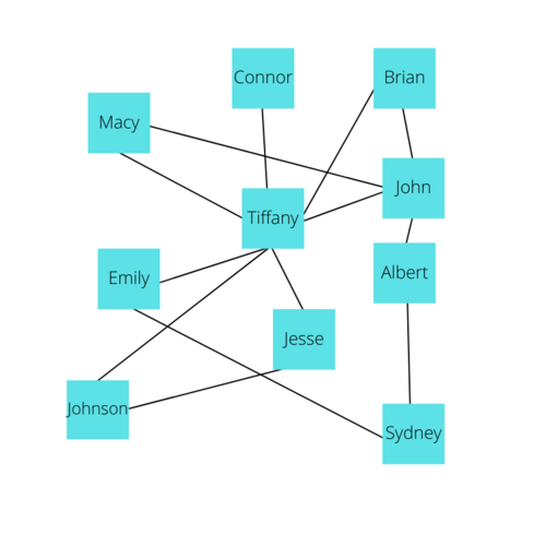 Graph Basic Social-networking.png