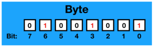 Byte-Bit-Order-0x49.png